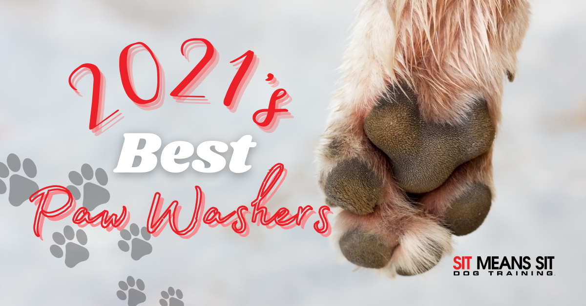 2021's Best Dog Paw Washers