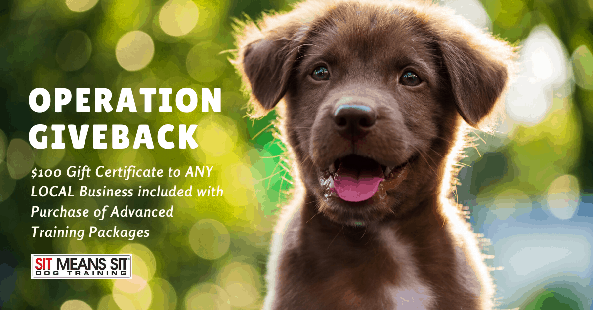 Operation Giveback - Dog Training