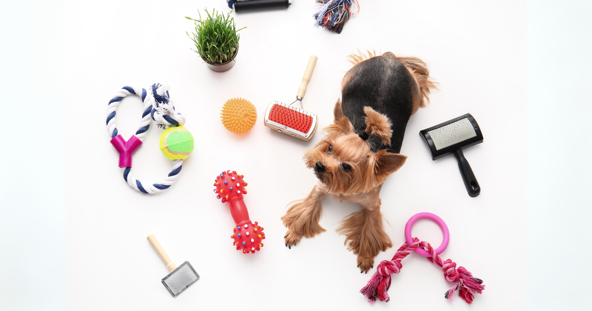 Dog Hair Removal Tools That Actually Work