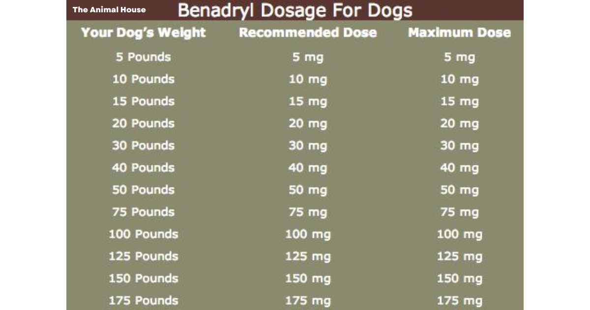 Is Benadryl Safe for Dogs?