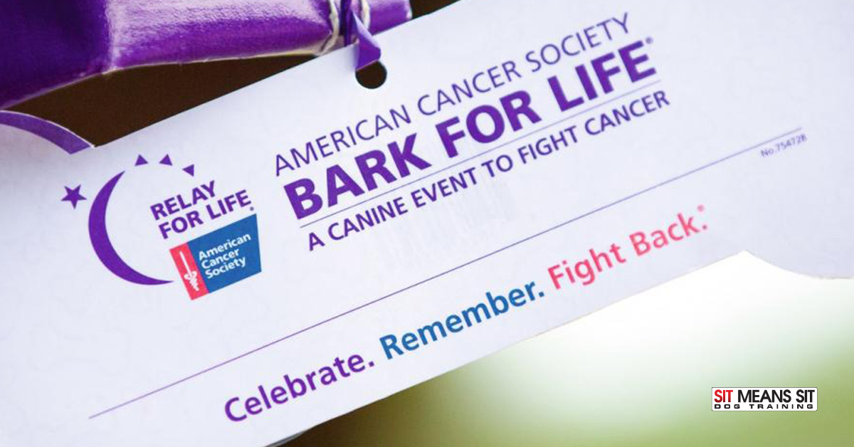 Bark for Life of Aggieland
