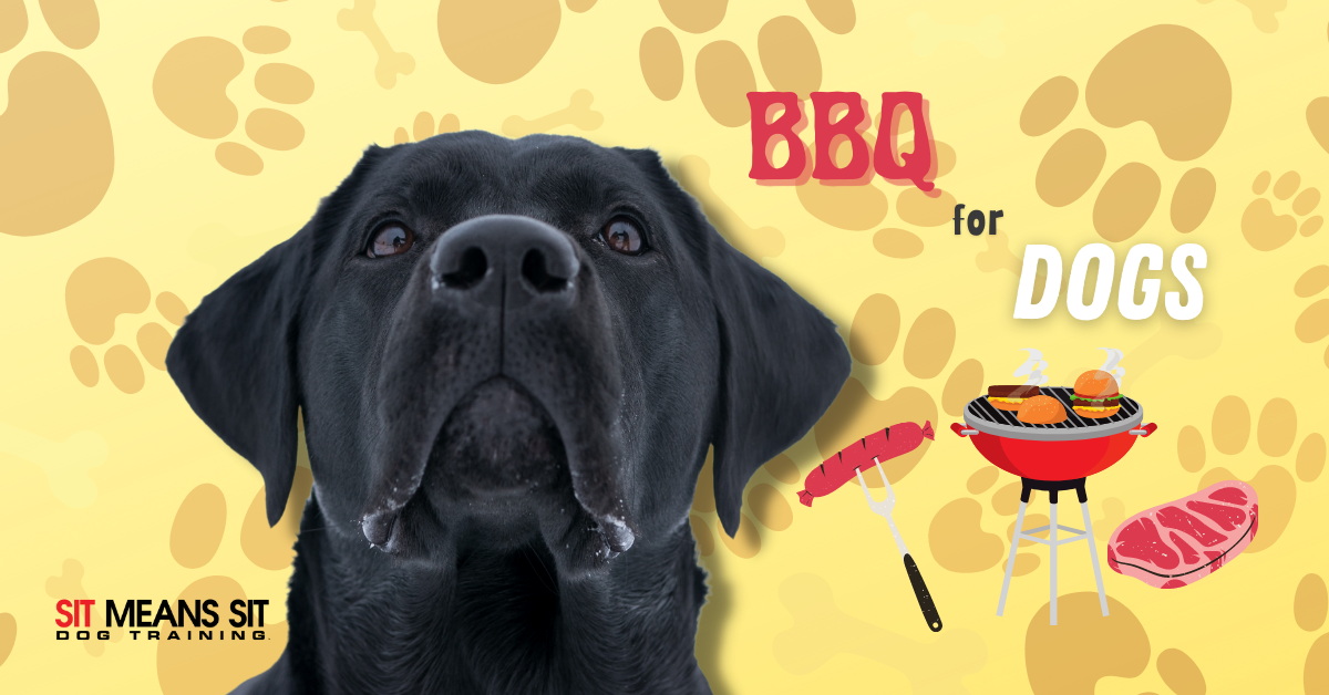 BBQ Guide for Dogs