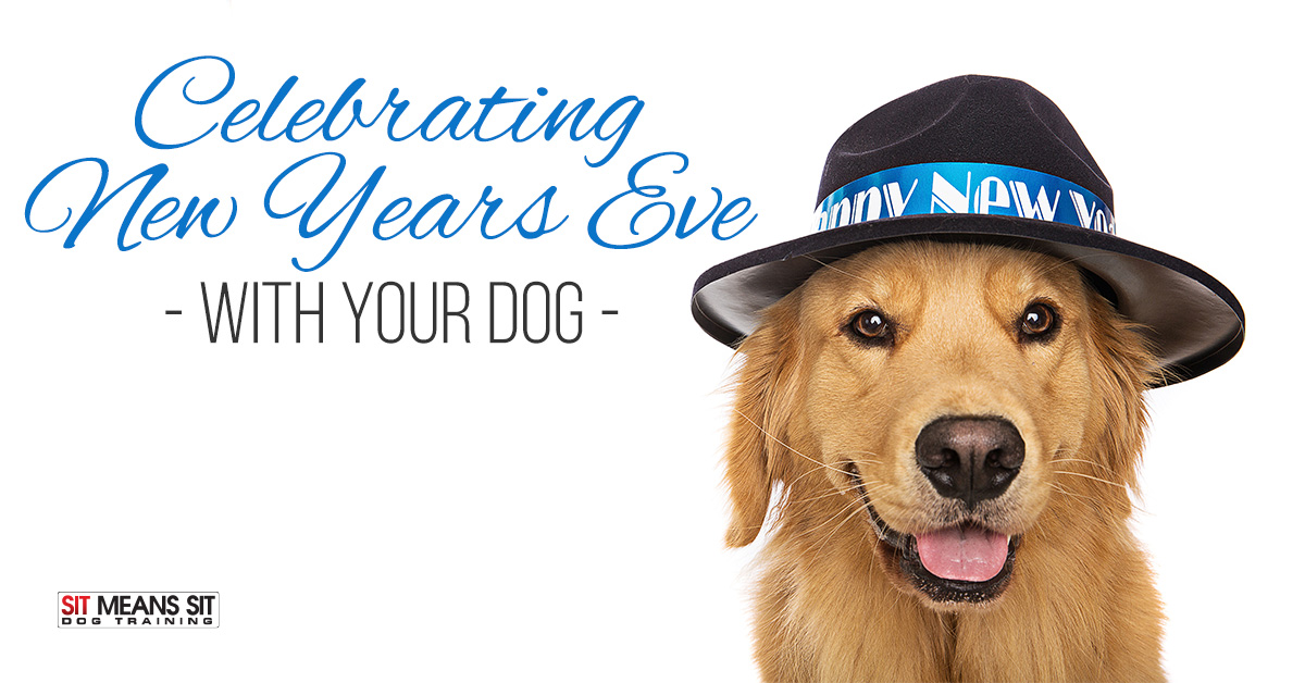 Celebrating New Years Eve with your dog.
