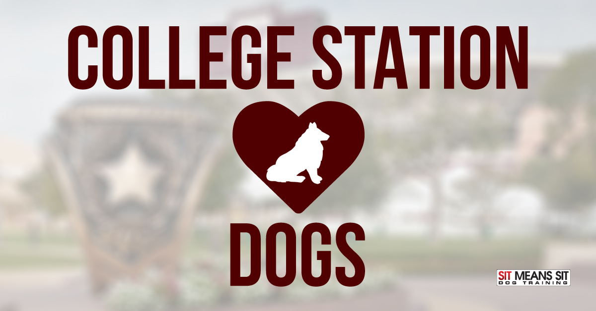 College Station Loves Dogs