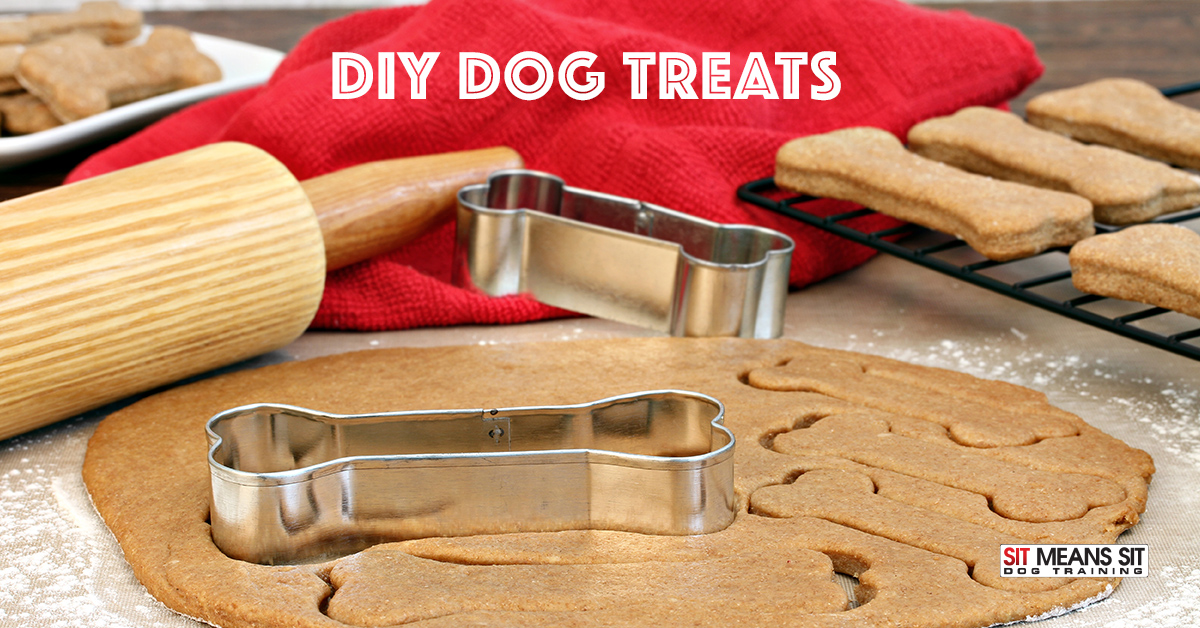 DIY Dog Treats