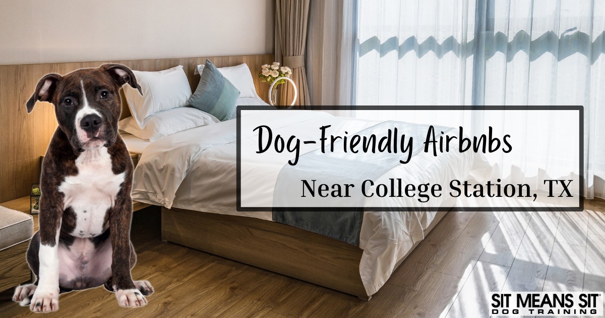 Dog-Friendly Airbnbs Near College Station