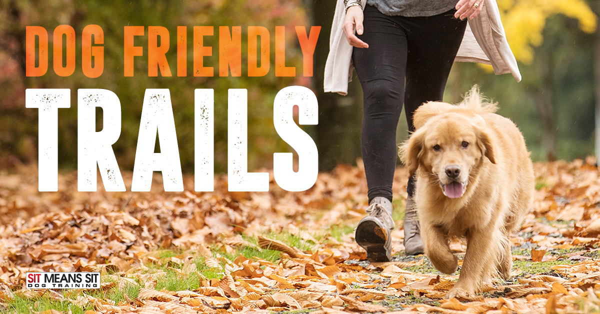 Check out this Dog Friendly Hiking Trail in College Station, Texas.