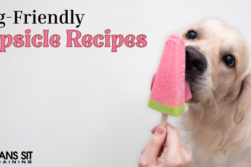 Dog-Friendly Popsicle Recipes to Beat the Heat