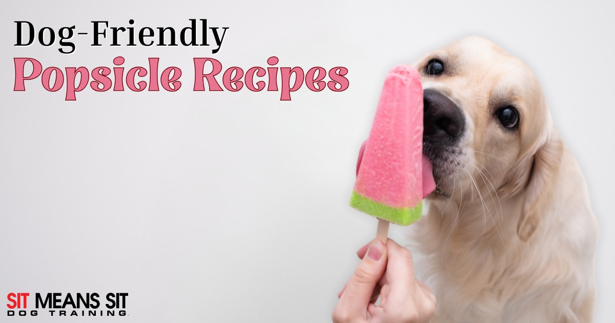 Dog-Friendly Popsicle Recipes to Beat the Heat