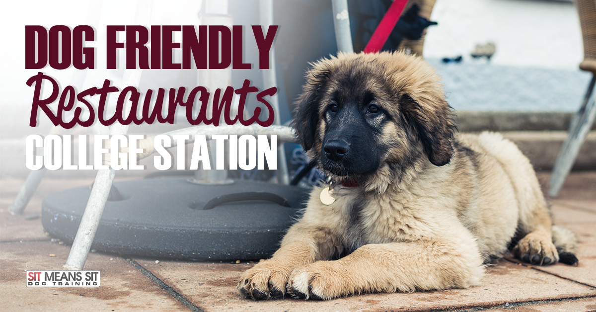 Dog friendly restaurants in College Station.
