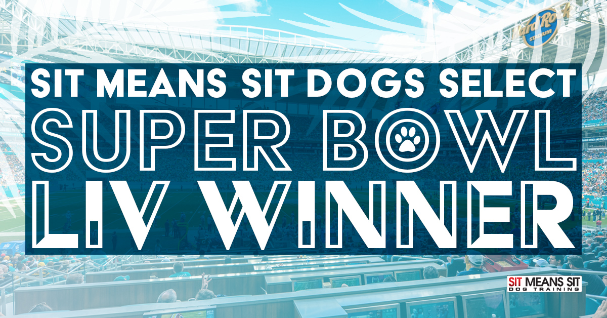 Sit Means Sit Dogs Select Super Bowl LIV Winner