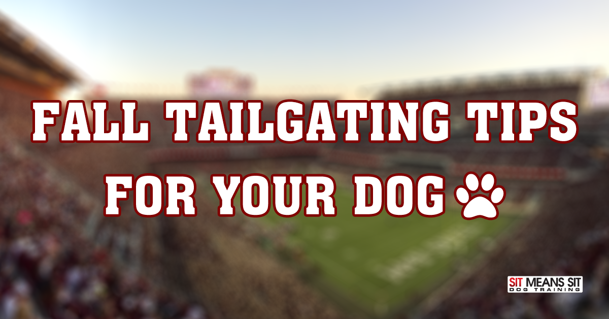 Fall tailgating tips for your dogs!