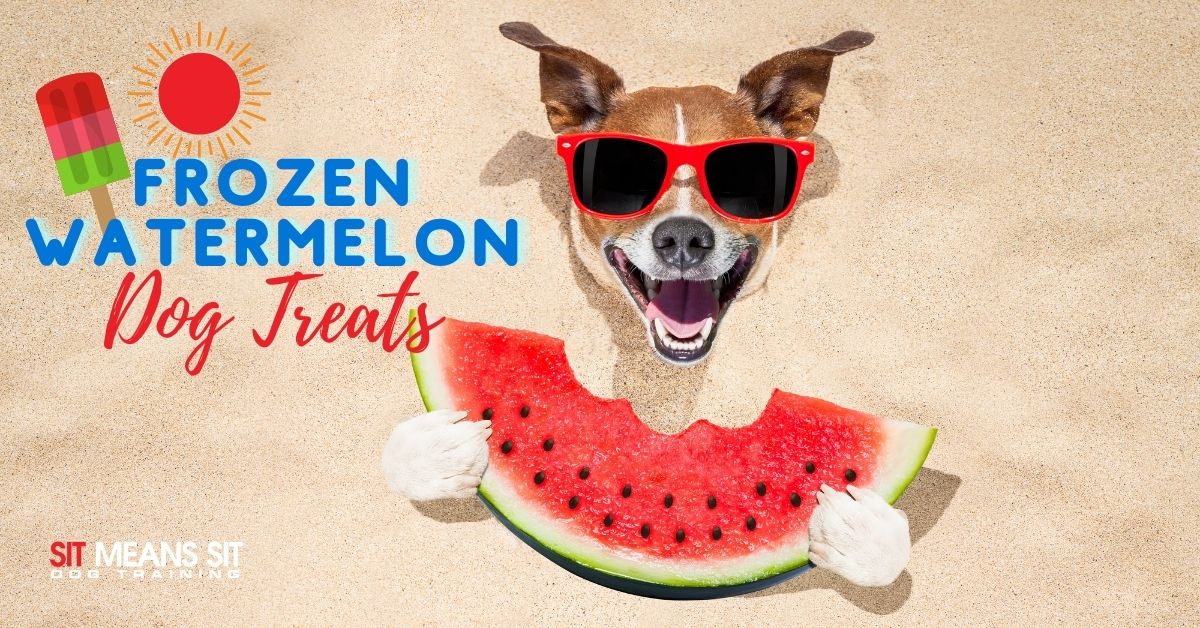 Frozen Watermelon Dog Treats