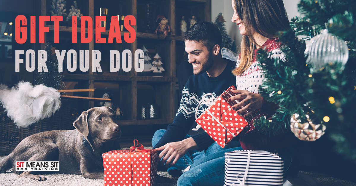Gift Ideas for Your Dog.