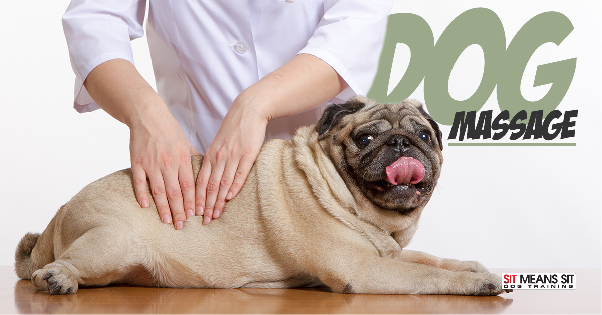 Giving your dog a massage.
