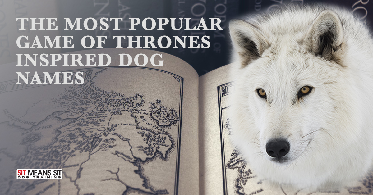 The Most Popular Game of Thrones Inspired Dog Names