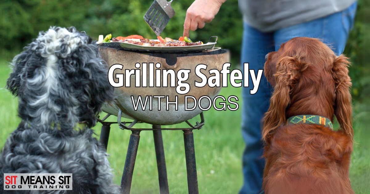 Grilling & Barbecue Safety Tips for Dog Owners