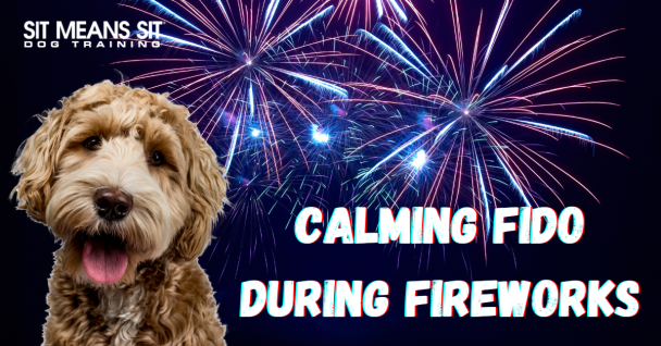 Helping Fido Stay Calm During Fireworks