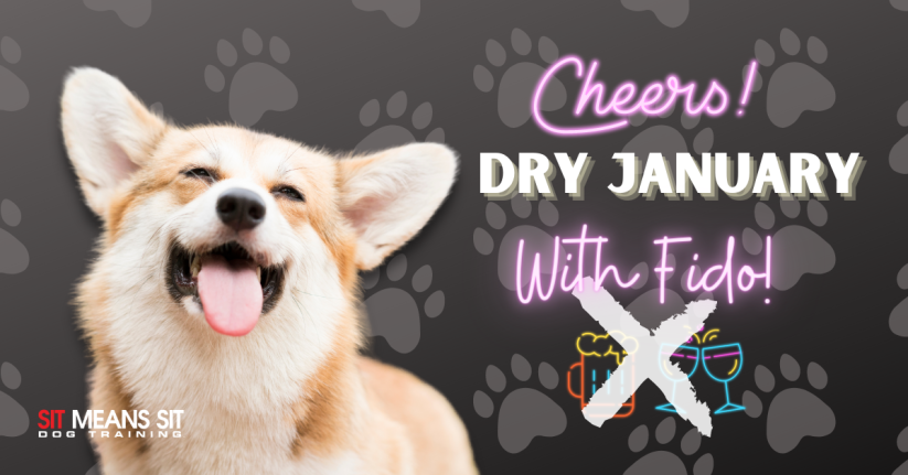 How Your Dog Can Help You Stay Sober During Dry January
