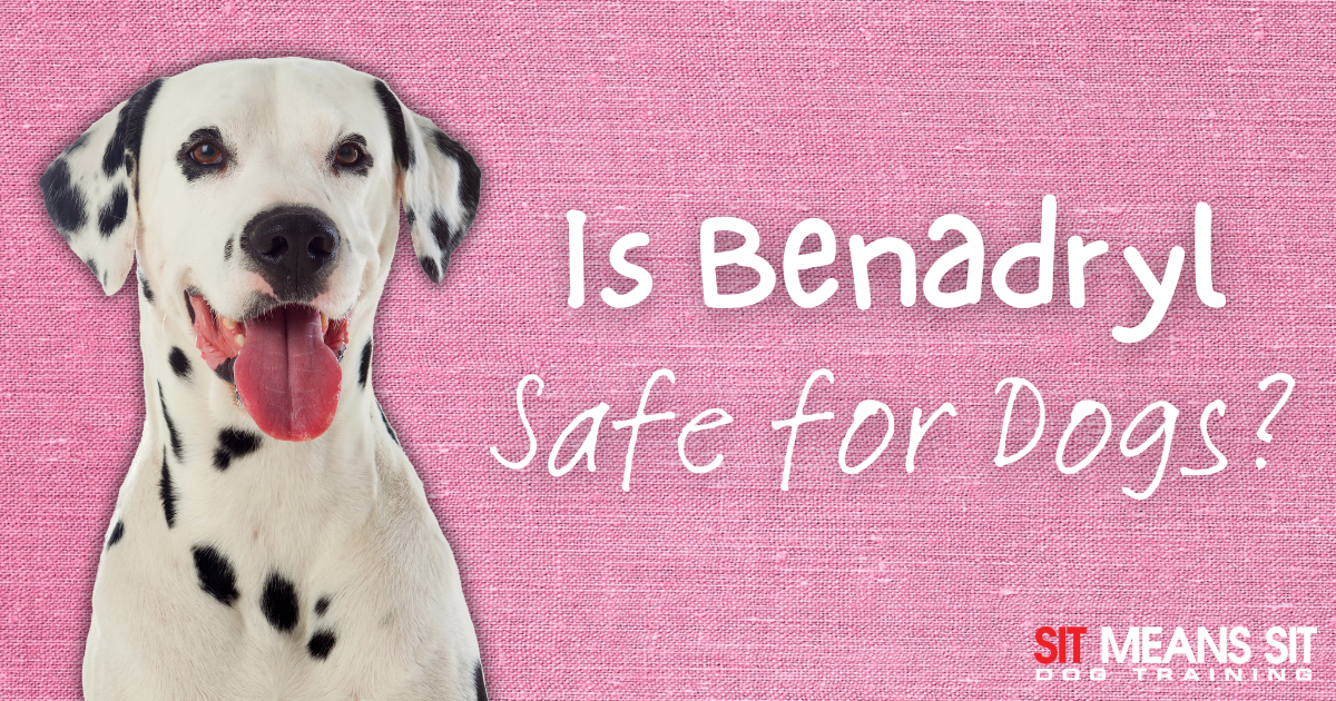Is Benadryl Safe for Dogs?