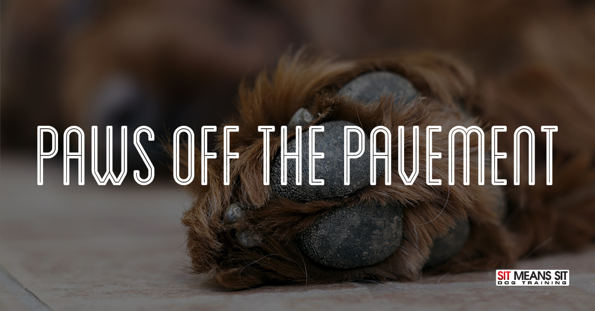 Keeping your dogs paws off hot pavement.