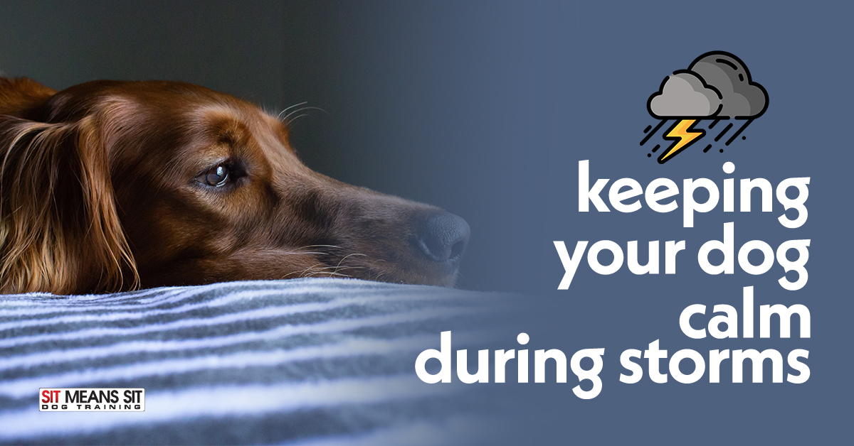Keeping Your Dog Calm During Storms