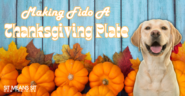 Making Your Dog Their Own Thanksgiving Plate