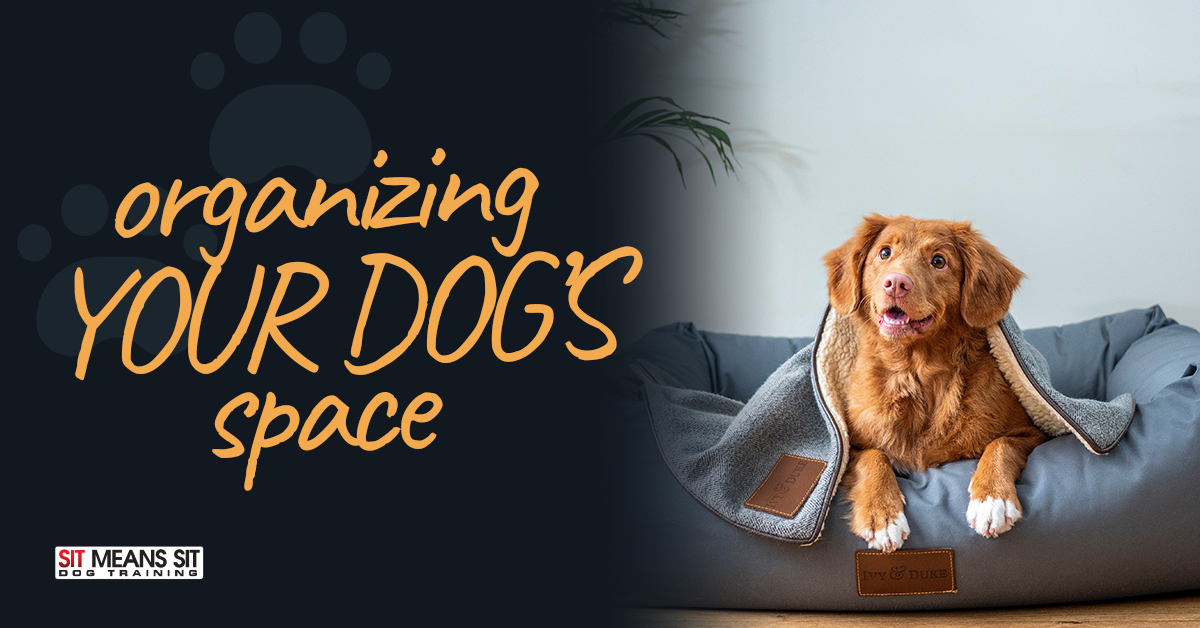 Organizing Your Dogs Space