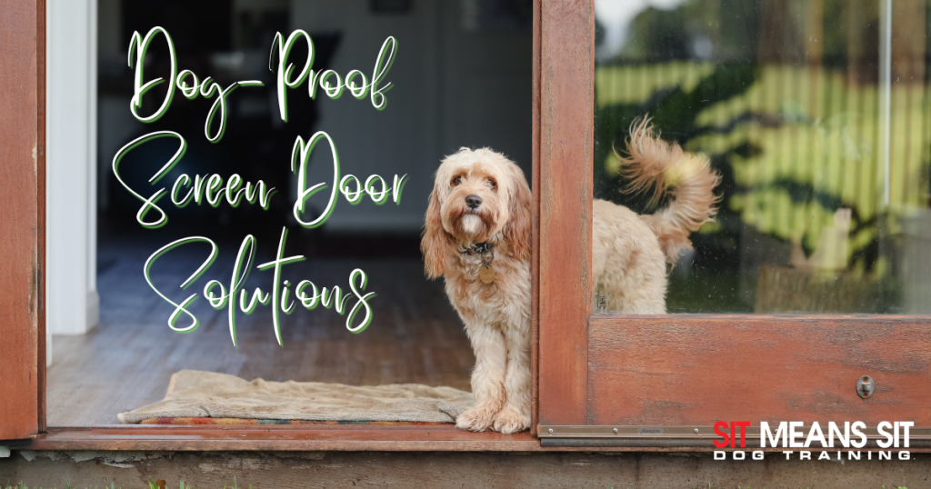 The Best DogProof Screen Door Solutions Sit Means Sit College Station