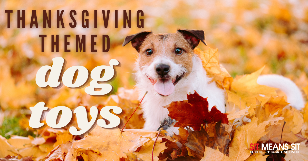 https://www.sitmeanssitcollegestation.com/wp-content/uploads/the-best-thanksgiving-themed-dog-toys-1.png