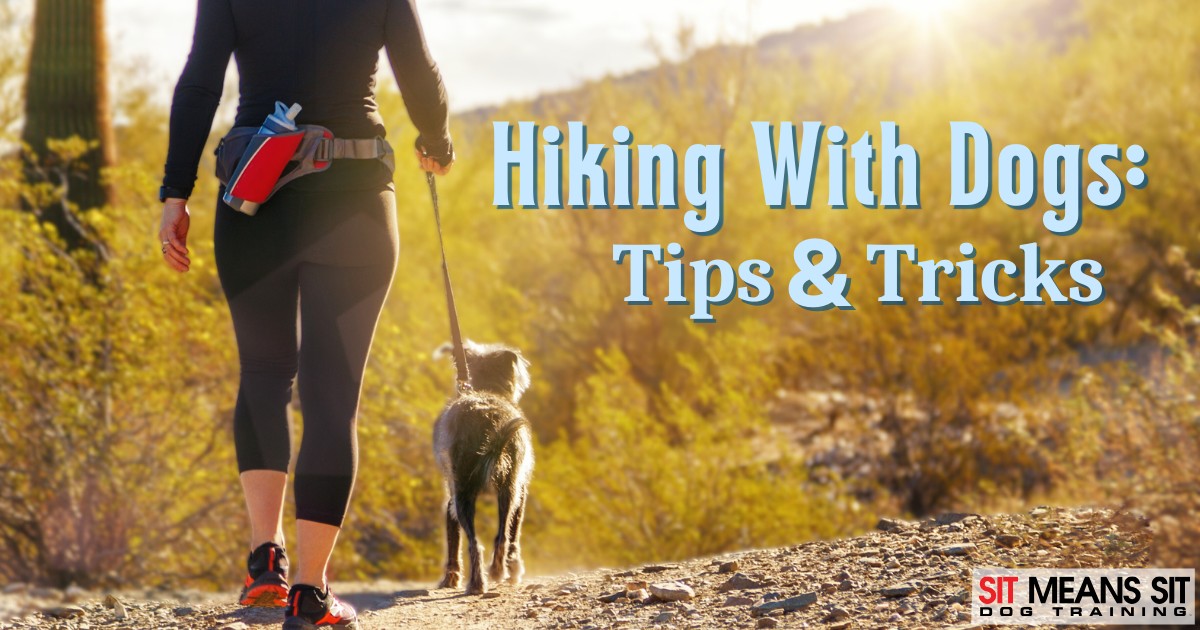 Tips for Hiking with Your Dog