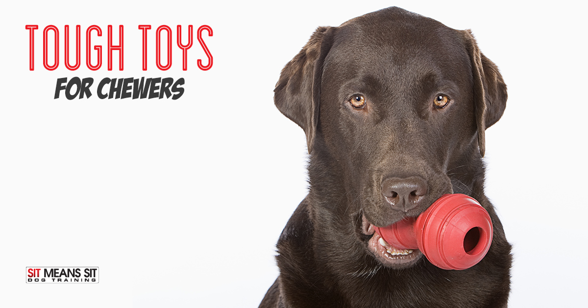 Tough dog toys for dogs that chew.