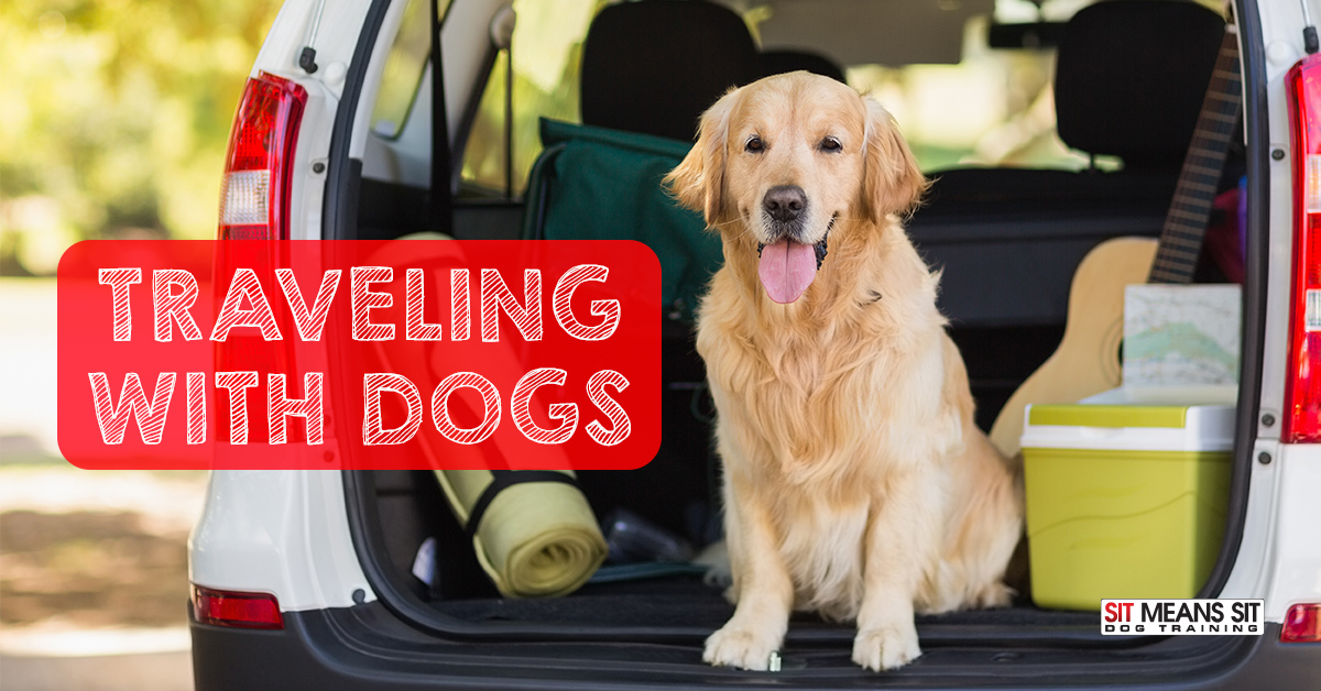 Traveling with Your Dog