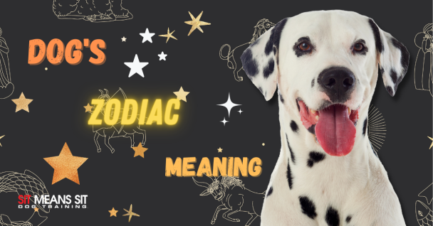 What Does My Dog's Zodiac Sign Mean?